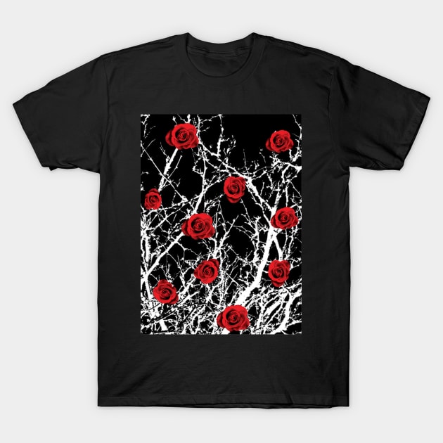 Thorns T-Shirt by Climb Curio